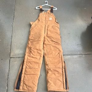 Carhartt Men’s Insulated Overalls